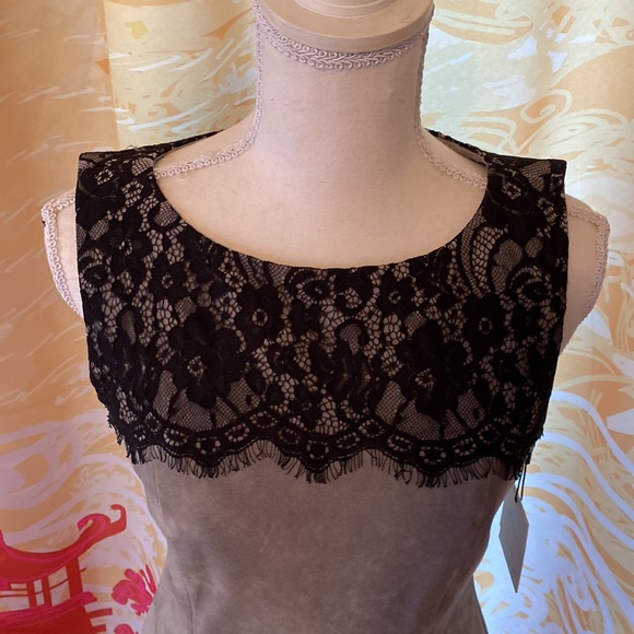 CALVIN KLIEN FAUX SUEDE AND LACE TANK DRESS SIZE 6 NWT - Picture 2 of 8